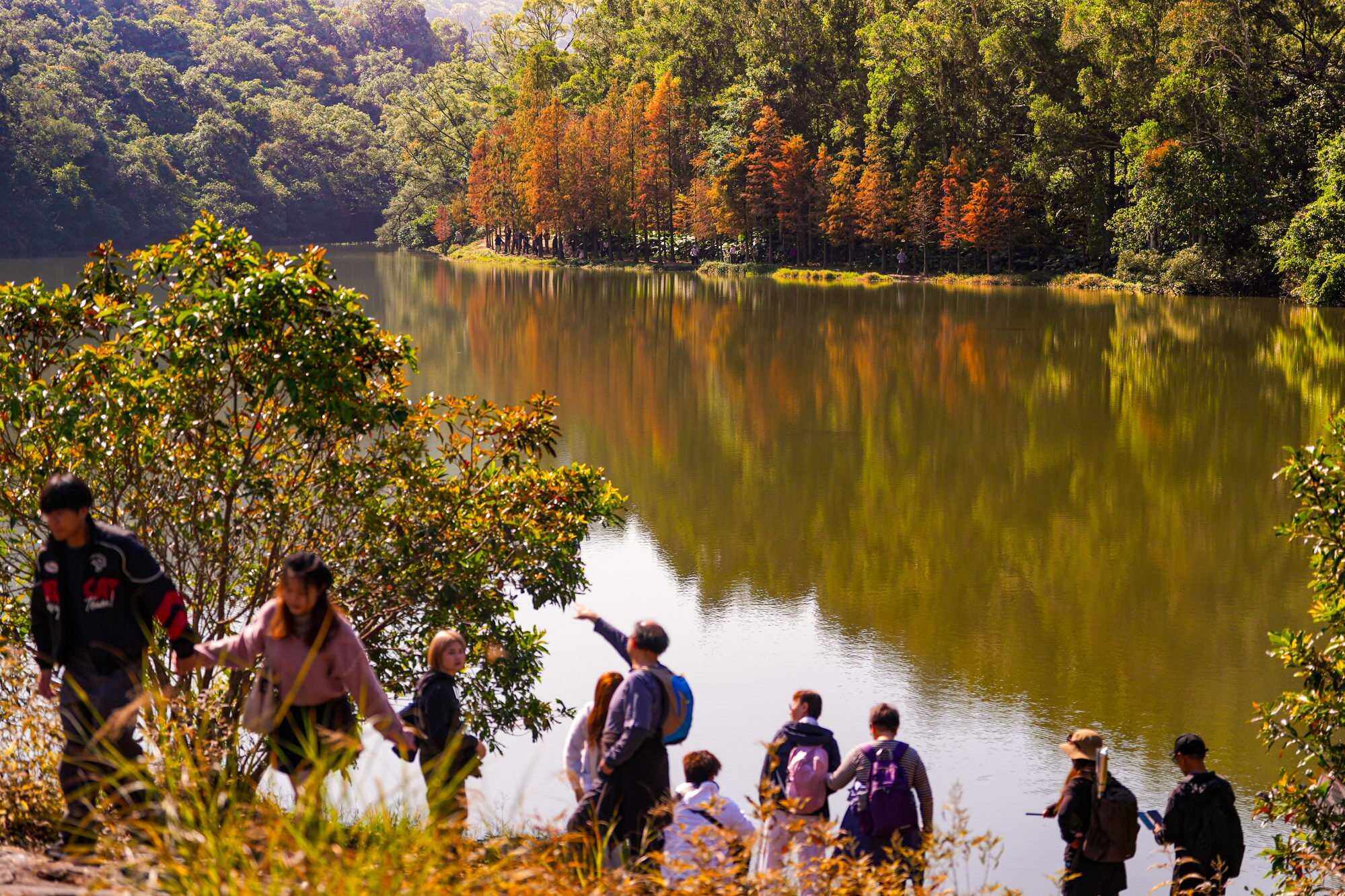 Tranquil waters and lush greenery make for a perfect hike – for humans and their furry companions alike.