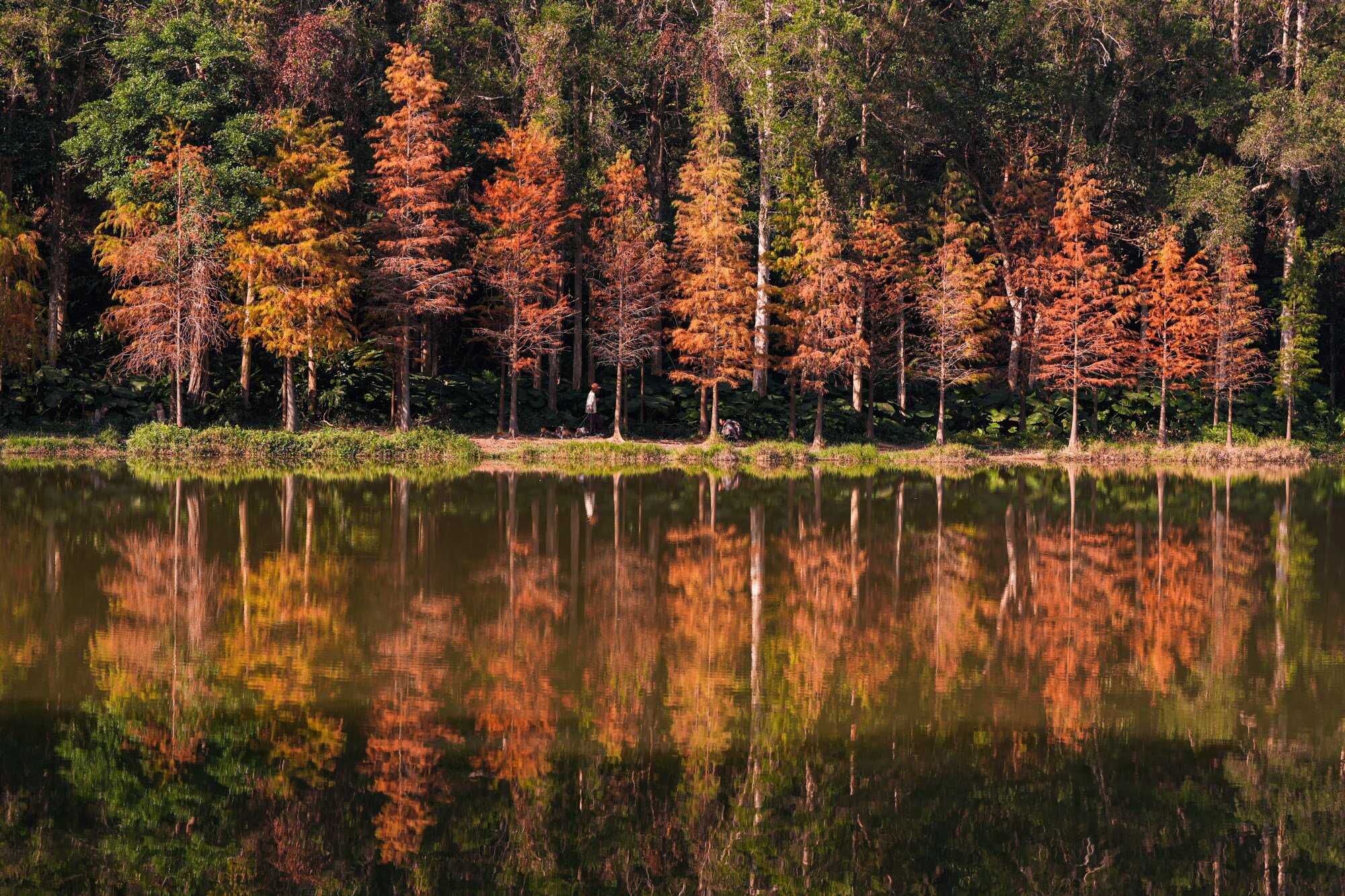 The reservoir is beautiful in summer, but draws crowds at the start of winter before the trees lose all their leaves.