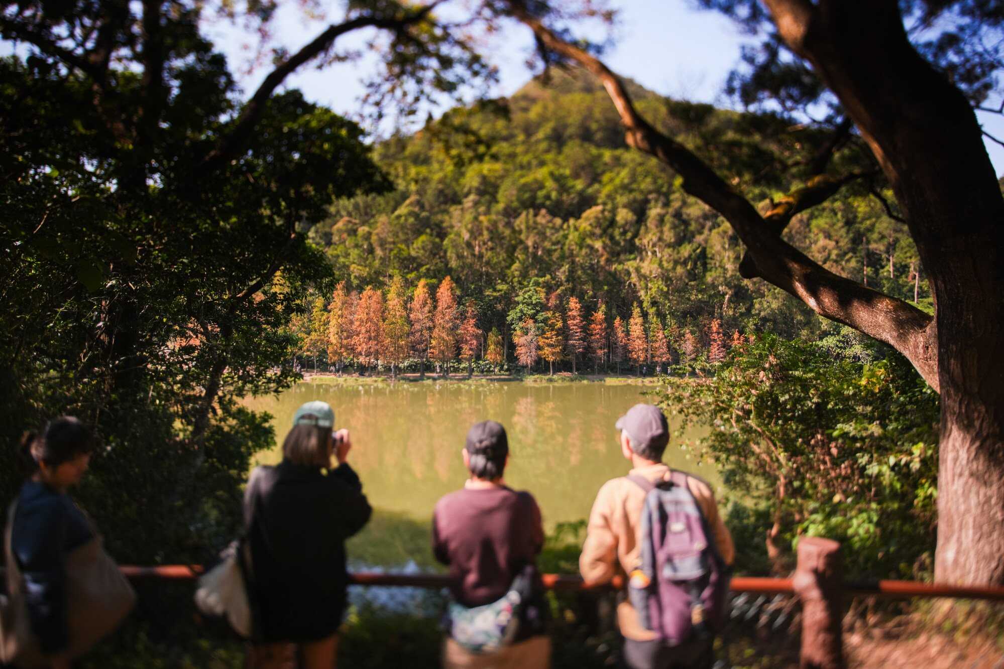 To get here, head to Fanling and take a minibus to Pat Sin Leng Country Park. You’ll be greeted by white melaleuca, paperbark and bald cypress trees and, if the timing allows for it, many species of butterflies and dragonflies.