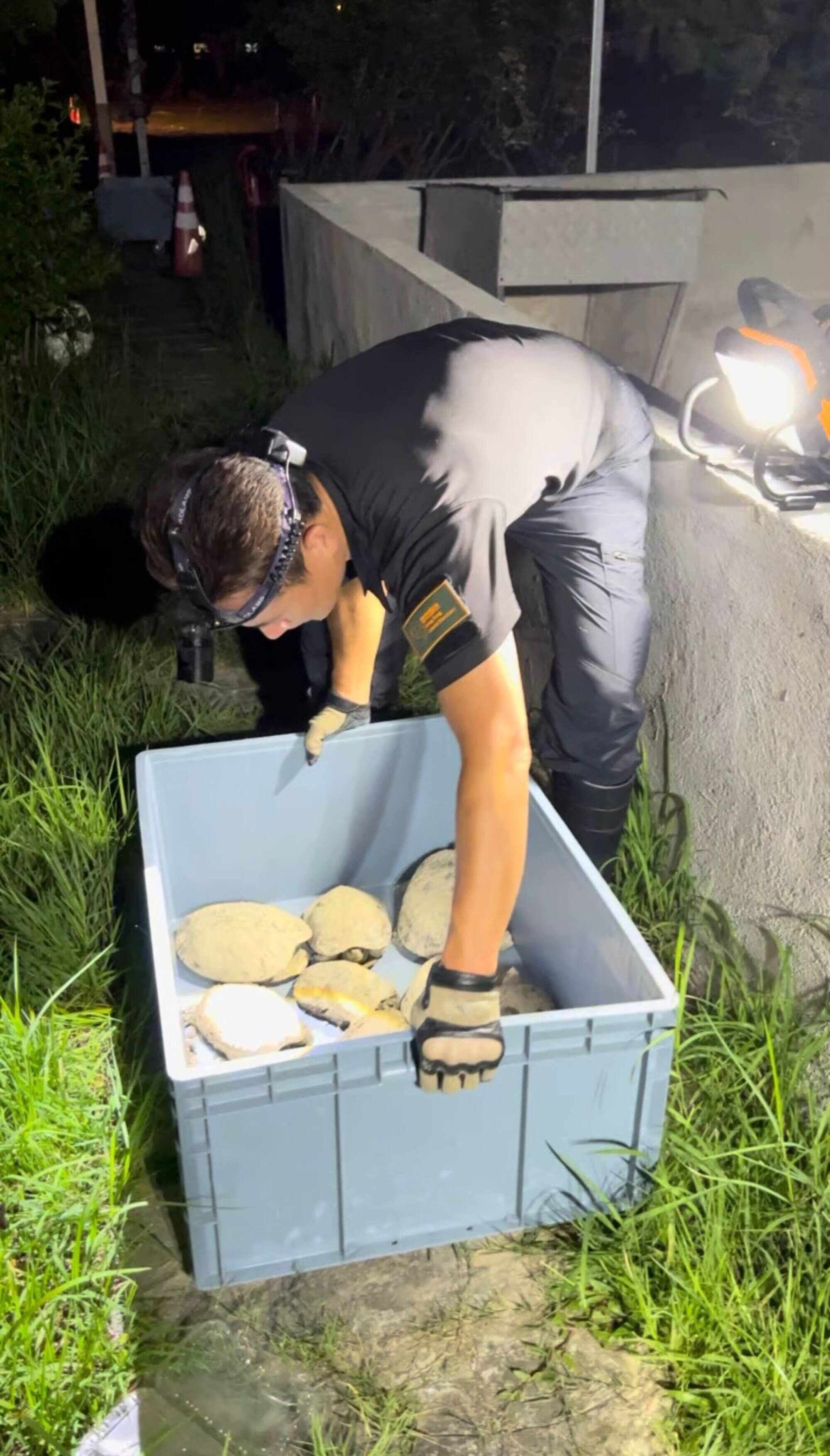 Bon Chan’s mission IS to end reptile neglect and teach compassion through education. Photo: Handout