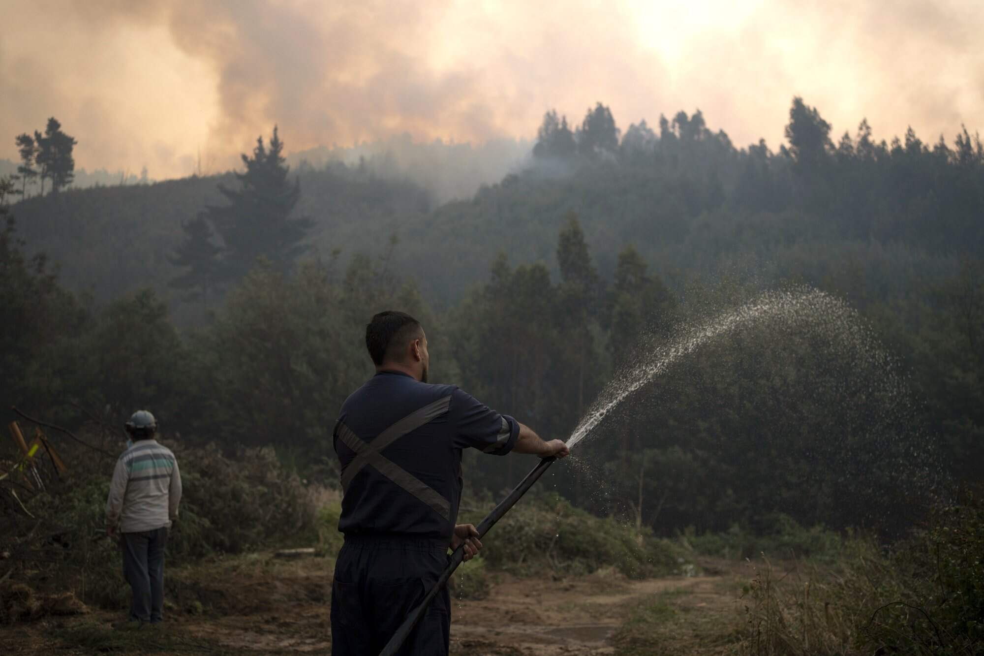 A man throws water on his land to prevent fire in the commune of Chaimavida, Concepcion, Chile. Photo: EPA