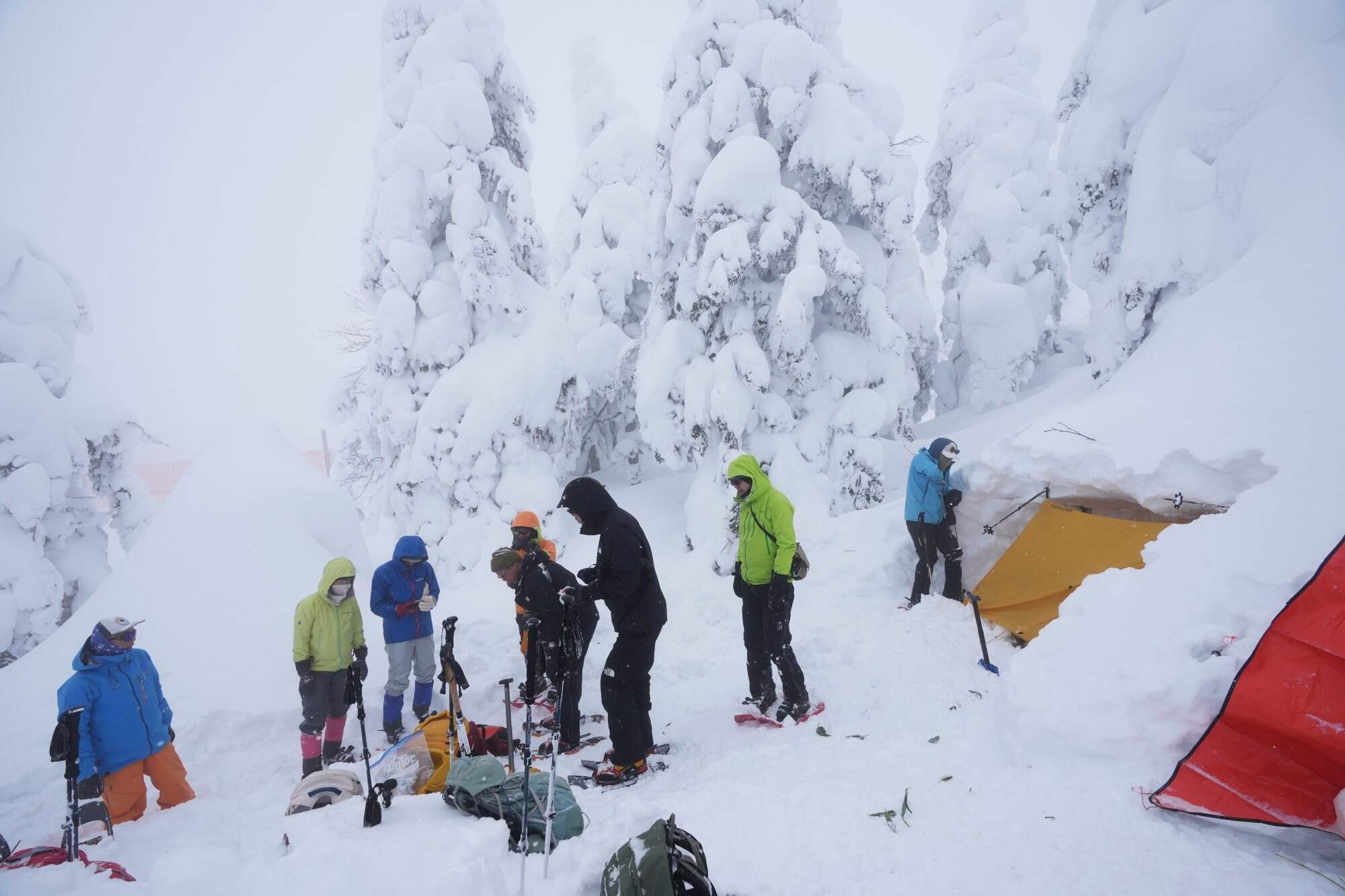 A group of climbers and instructors takes a break near frost-covered trees during a winter mountain-climbing training tour in the Zao Mountains near Yamagata, northern Japan. Photo: AP