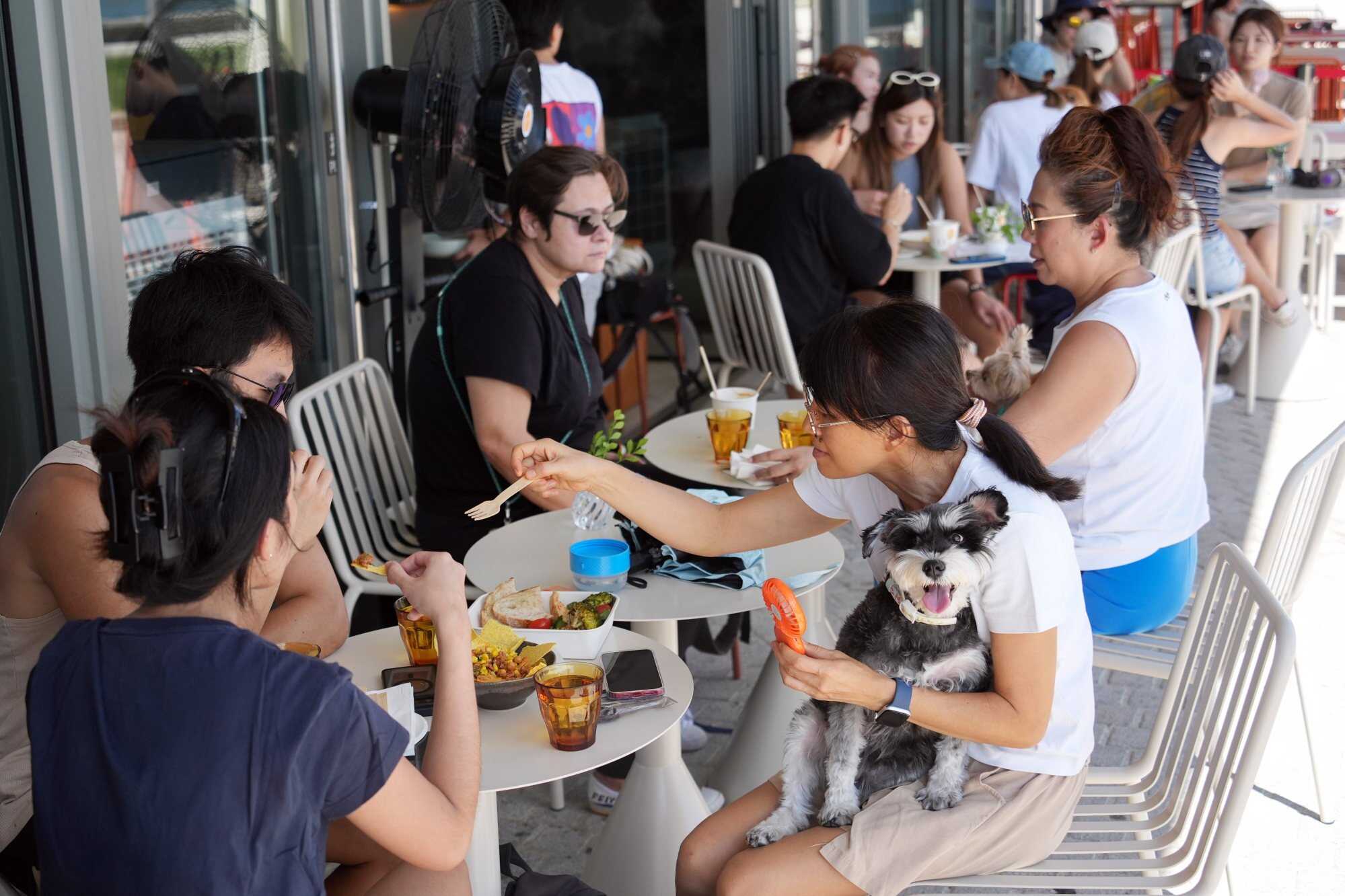 Diners bring their pets to the outdoor patio of a restaurant in West Kowloon Cultural District. Photo: Eugene Lee