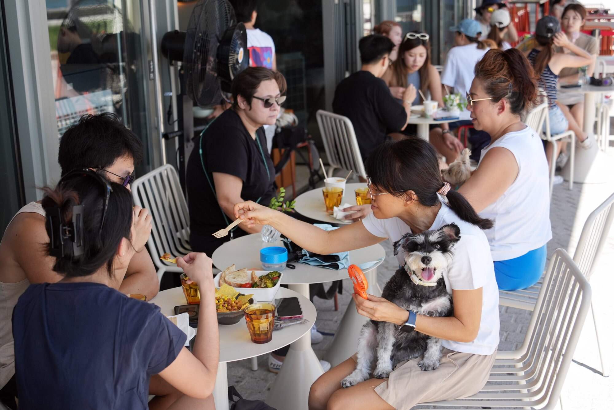 Diners bring their pets to the outdoor patio of a restaurant in West Kowloon Cultural District. Photo: Eugene Lee