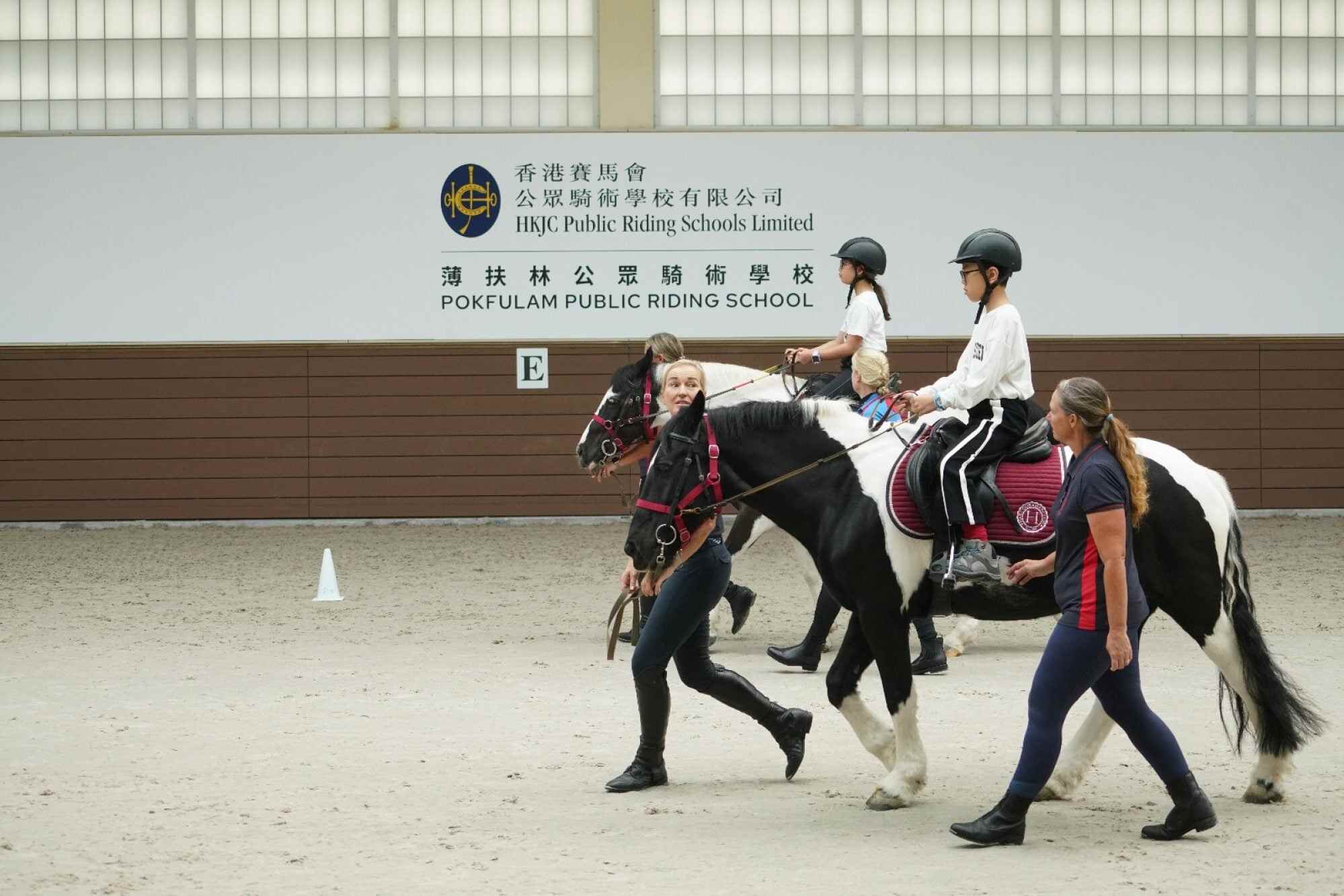 Horses are very good at sensing human feelings and body language, making them great for therapy. Photo: Riding for the Disabled Association (RDA)