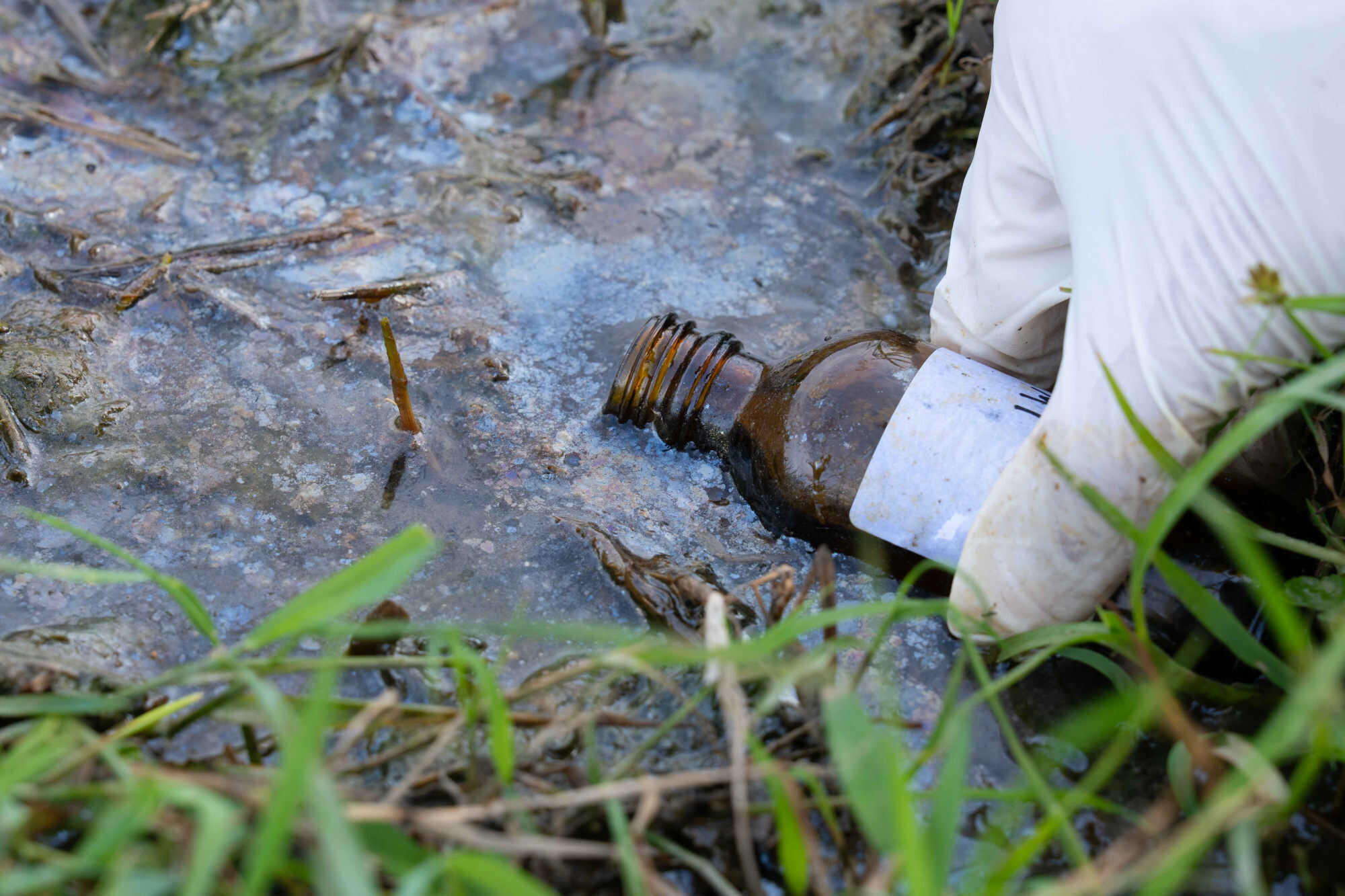 An oil spill in September has tainted South Lantau’s Pui O wetlands. Photo: Handout