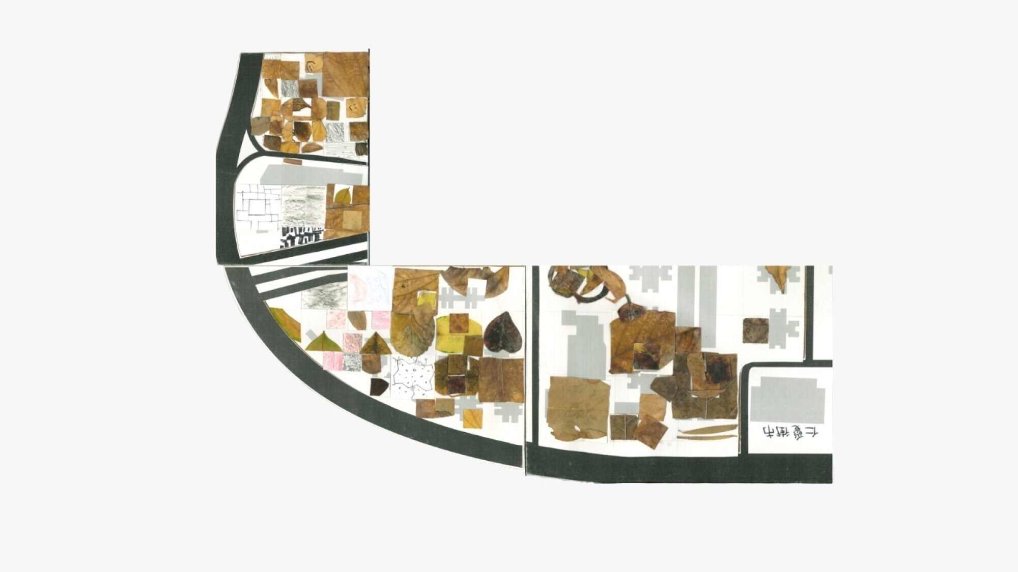A map created by junior secondary school participants in the pilot programme with Semple Memorial Secondary School through observing and collecting fallen fruits and petals. Photo: Handout