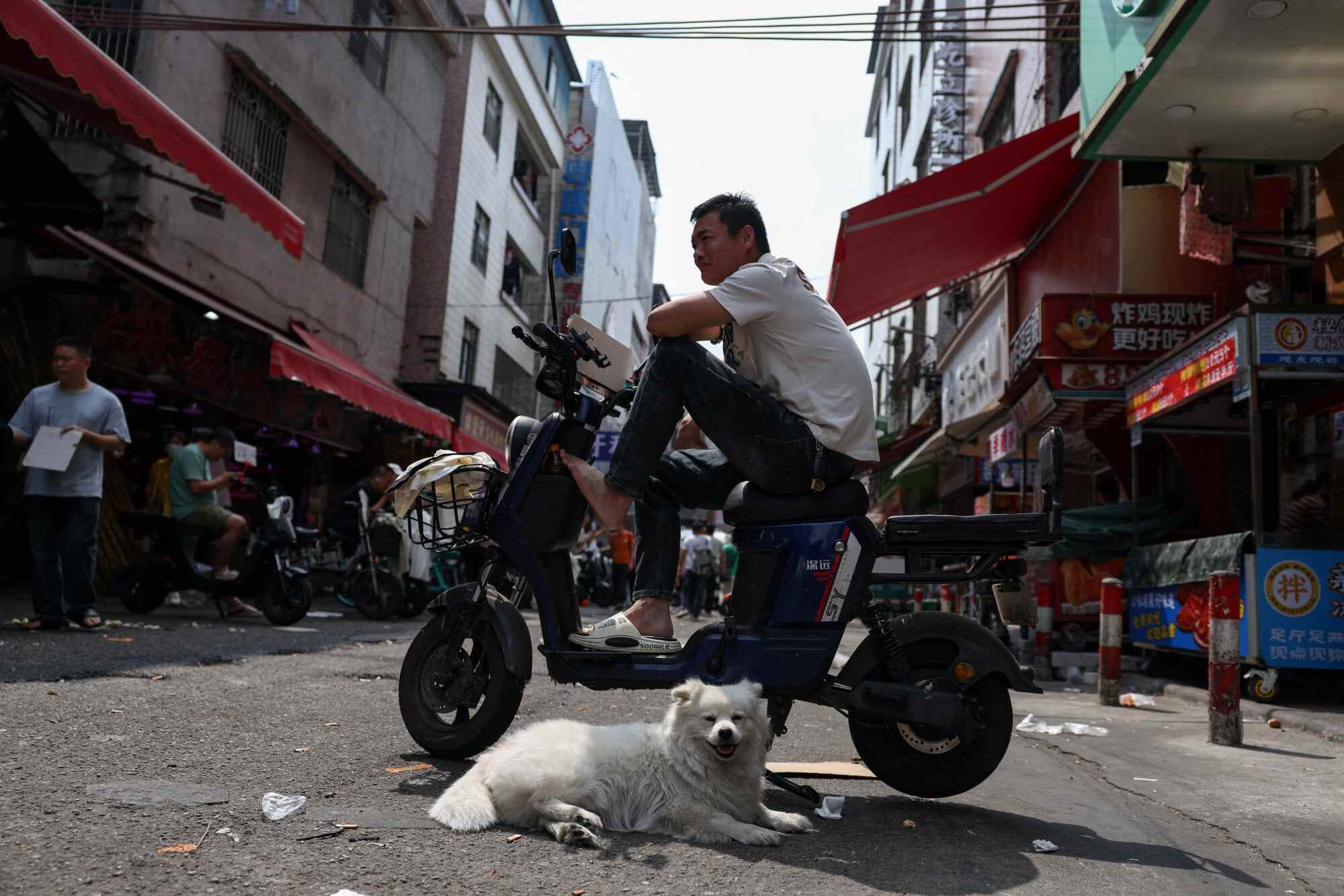 A dog in an urban village in Guangzhou, Guangdong province. In China, dog theft is a criminal offence. Photo: Reuters