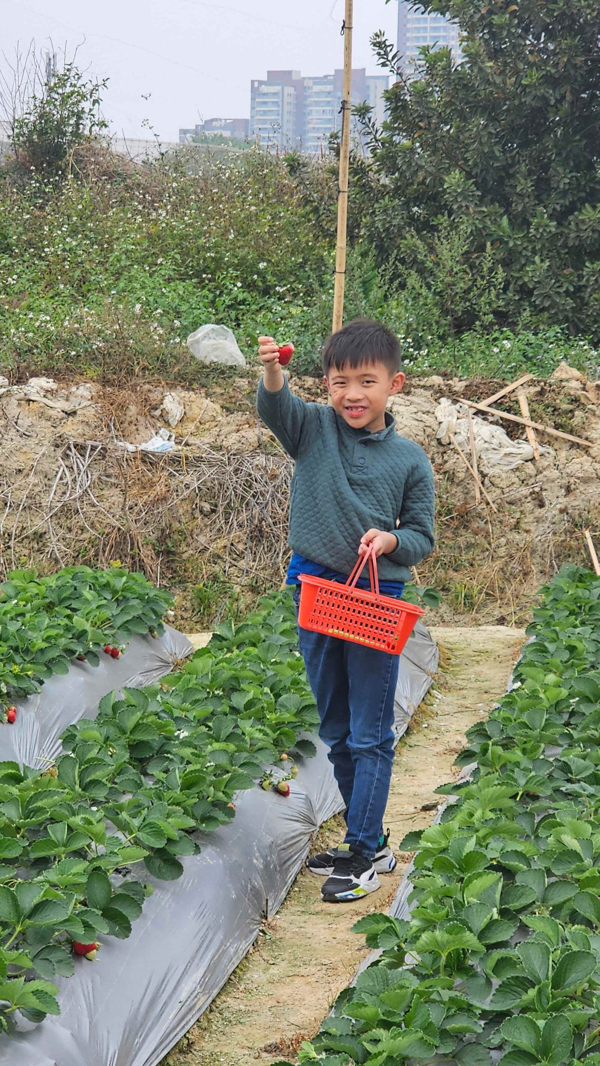 Matthias Yip enjoyed his trip to Canada to see his grandparents. Photo: Handout