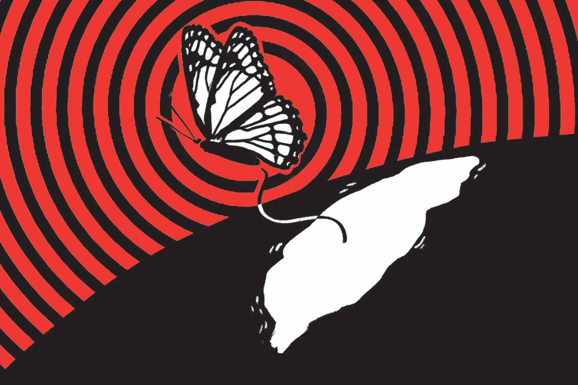 One simple action, like a butterfly flapping its wings, could potentially change what happens somewhere else in the world – or at least, that’s what the chaos theory suggests. Photo: Shutterstock