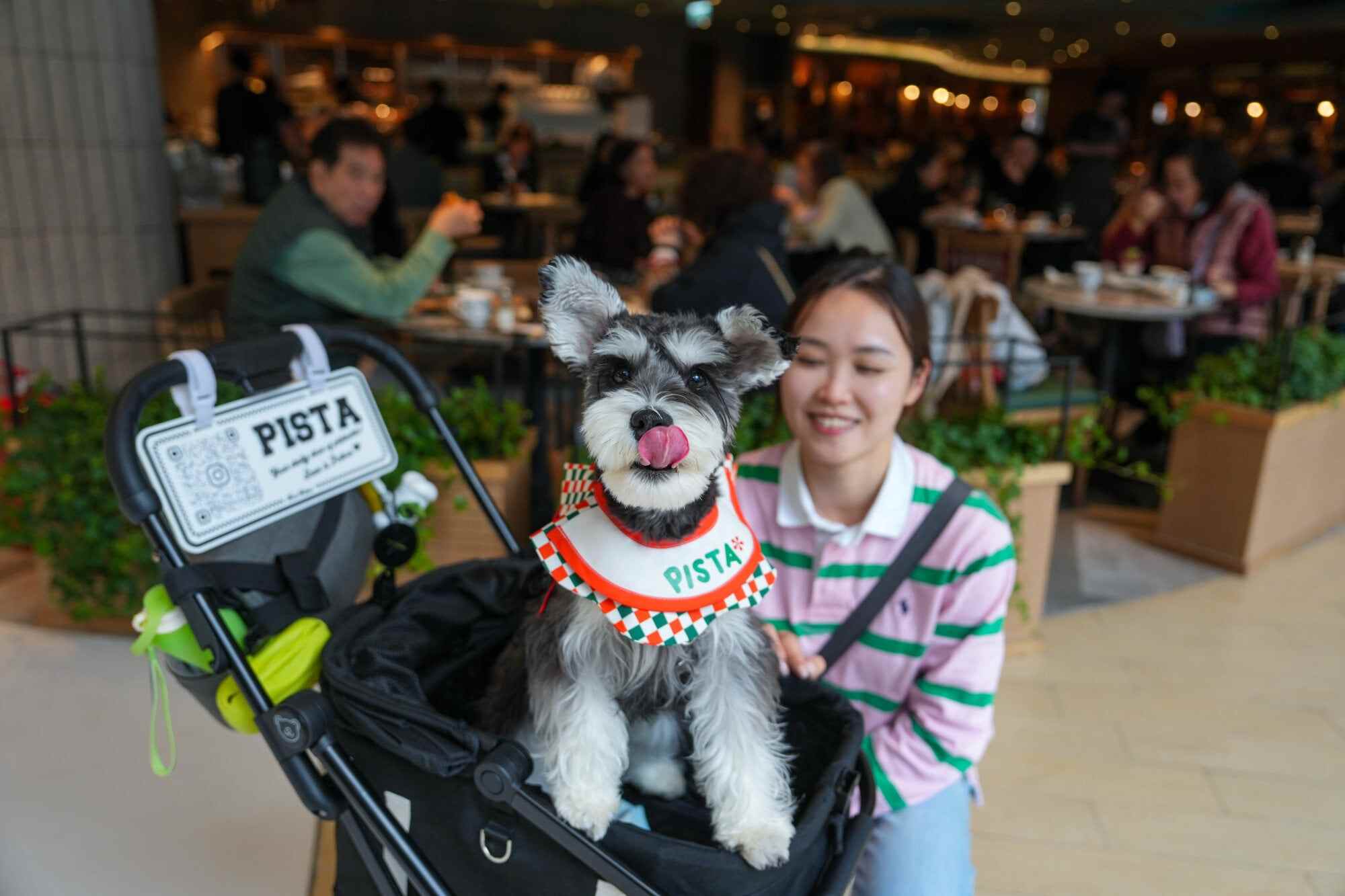 A woman walks with her dog “Pista” outside a restaurant in New Town Plaza in Sha Tin. Hong Kong authorities will allow up to 1,000 restaurants to welcome dogs in the first stage of a new measure to make the city more pet-friendly. Photo: Sam Tsang