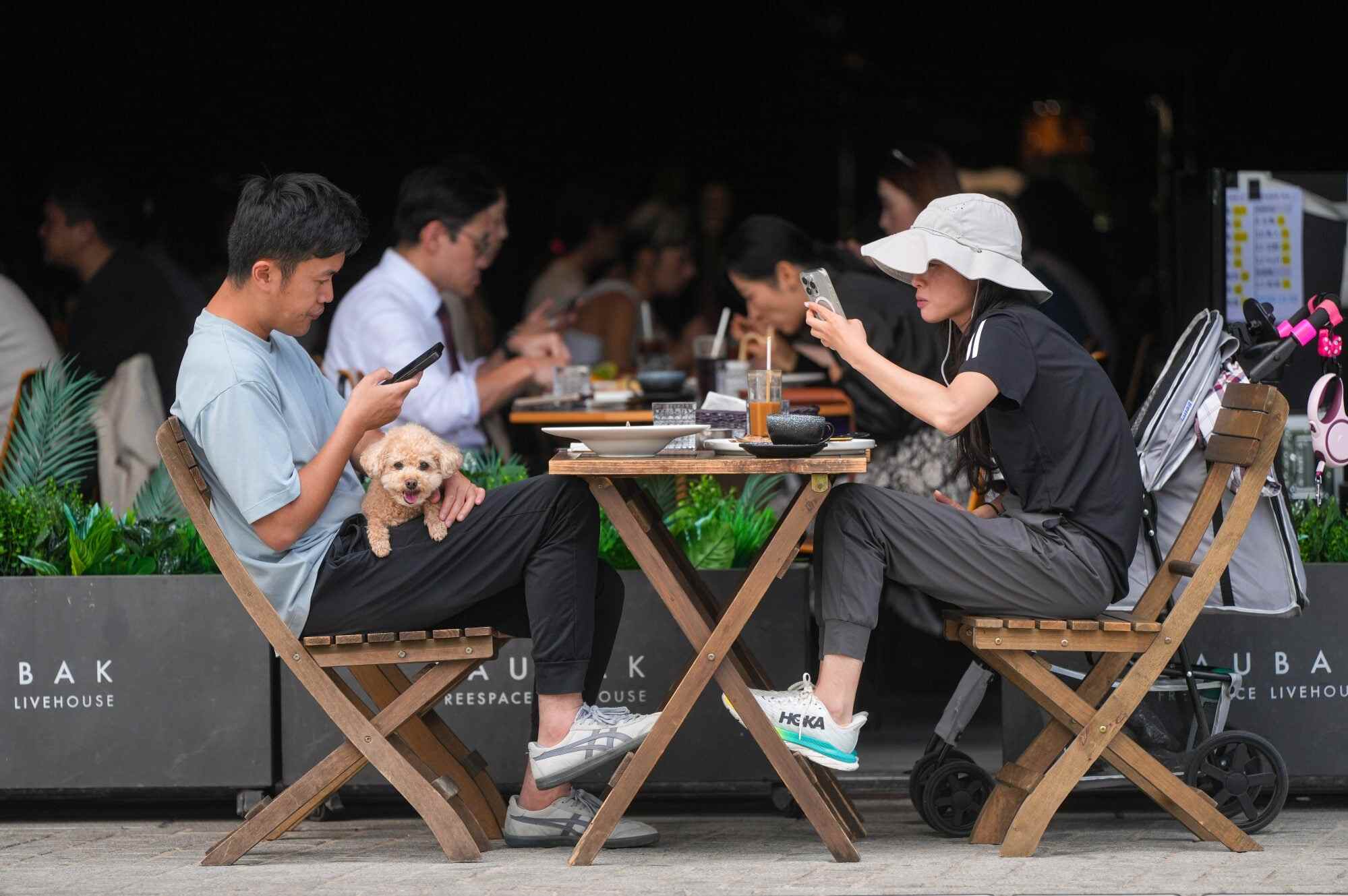 Pet owners have a meal with their dog in a restaurant in the West Kowloon Cultural District. The Hong Kong government has begun to recognise the growing public desire for such inclusivity. Photo: Sam Tsang