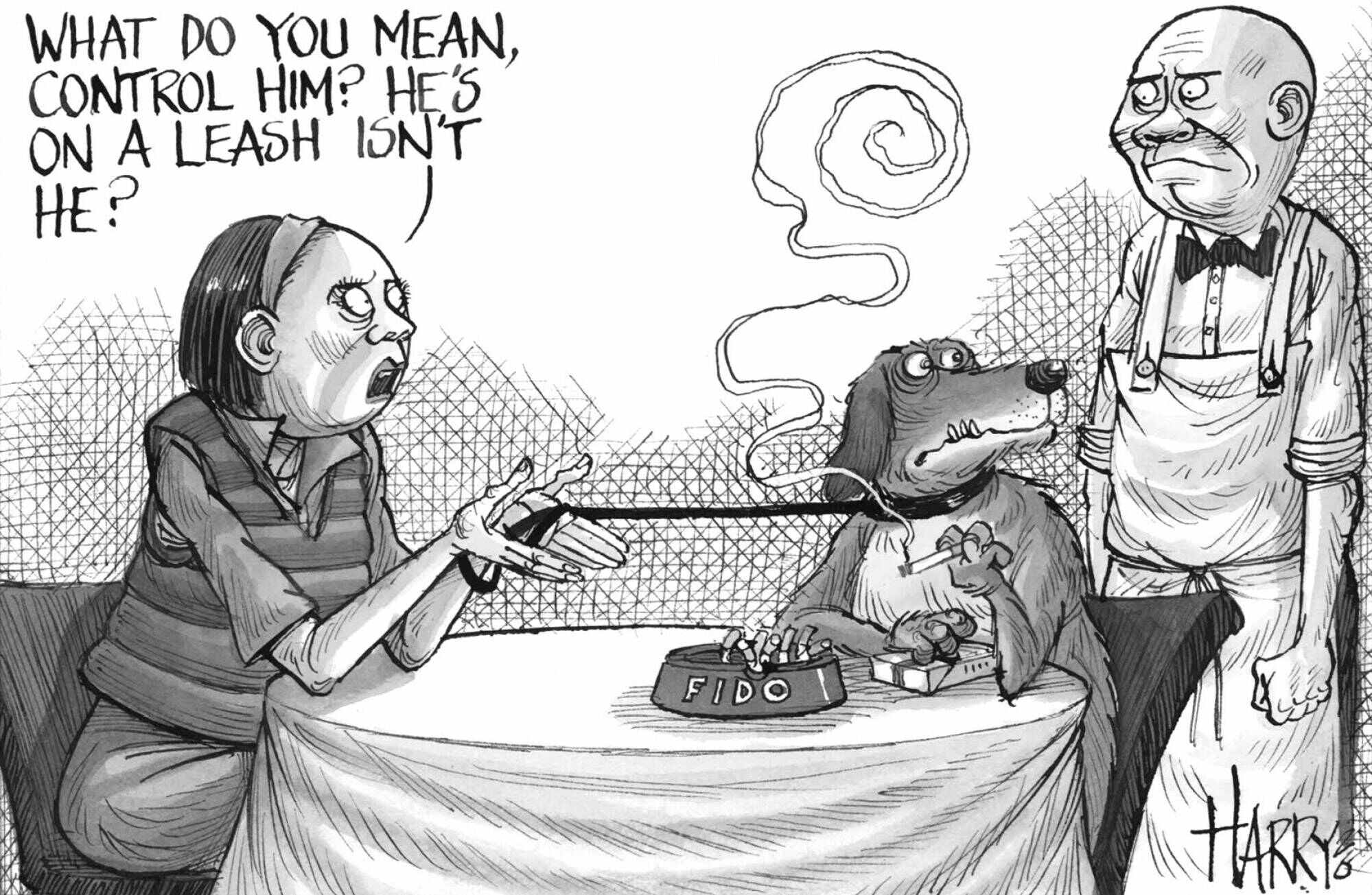 Under a new plan, 3 to 5 per cent of the city’s restaurants would receive permits with a limit of two dogs under adult control on leashes no longer than 1.5 metres. It would exclude high-risk outlets like hotpot and barbecue venues.