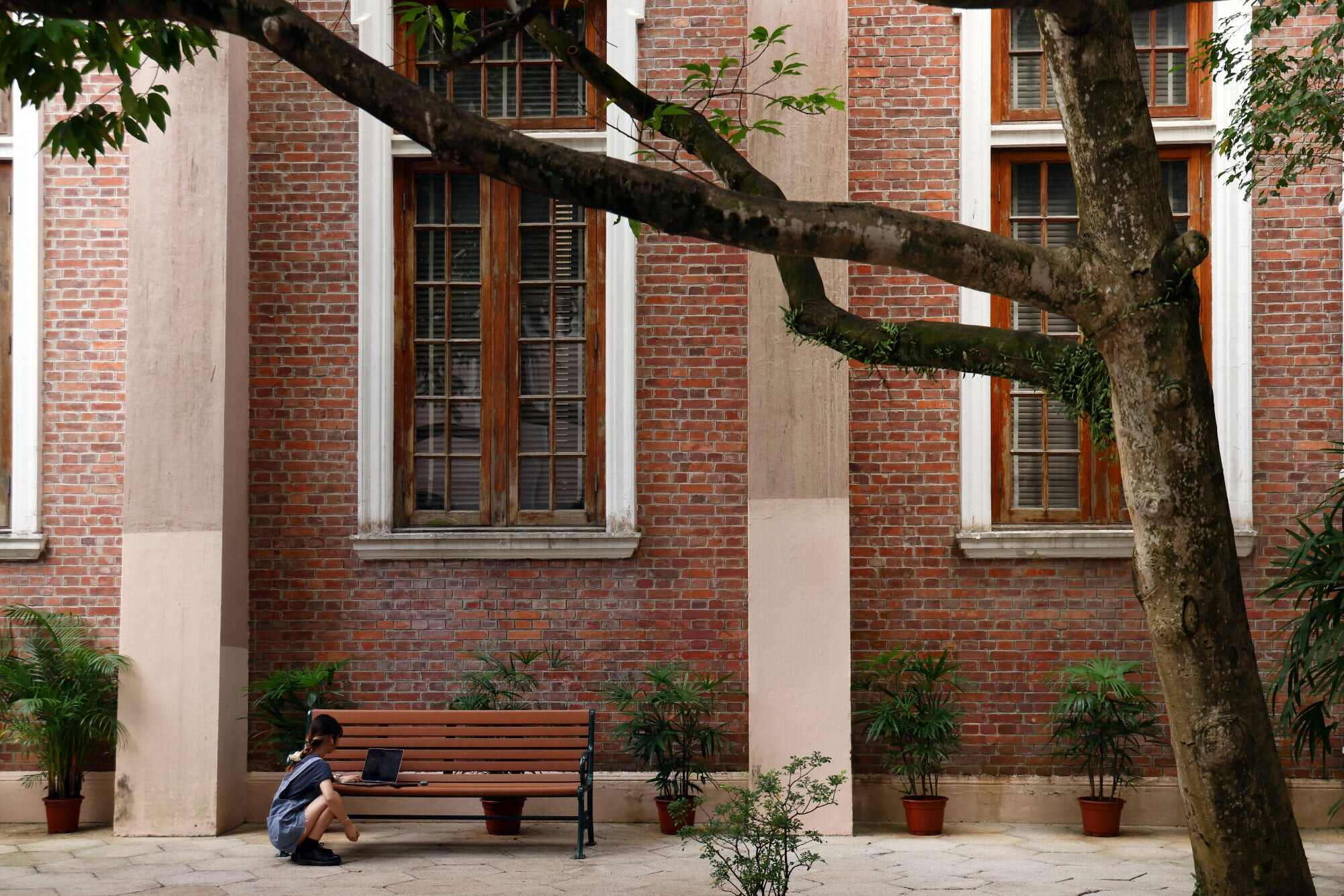 experts believe Hong Kong’s status as an educational magnet will only grow. Photo: Dickson Lee