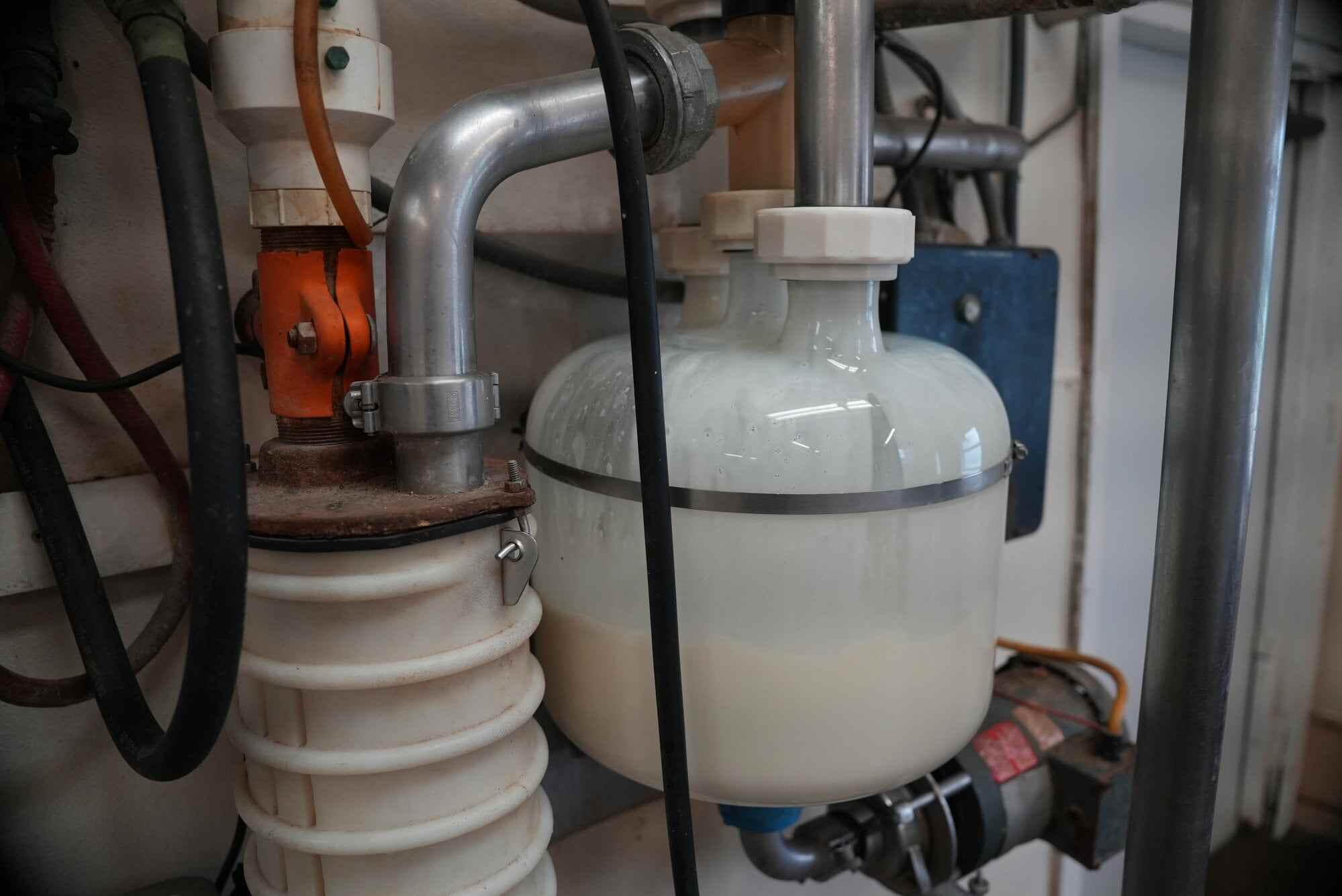 A receive jar collects raw milk from cows before it is eventually pasteurised at Ronnybrook Farm in Ancramdale, New York. Photo: AP