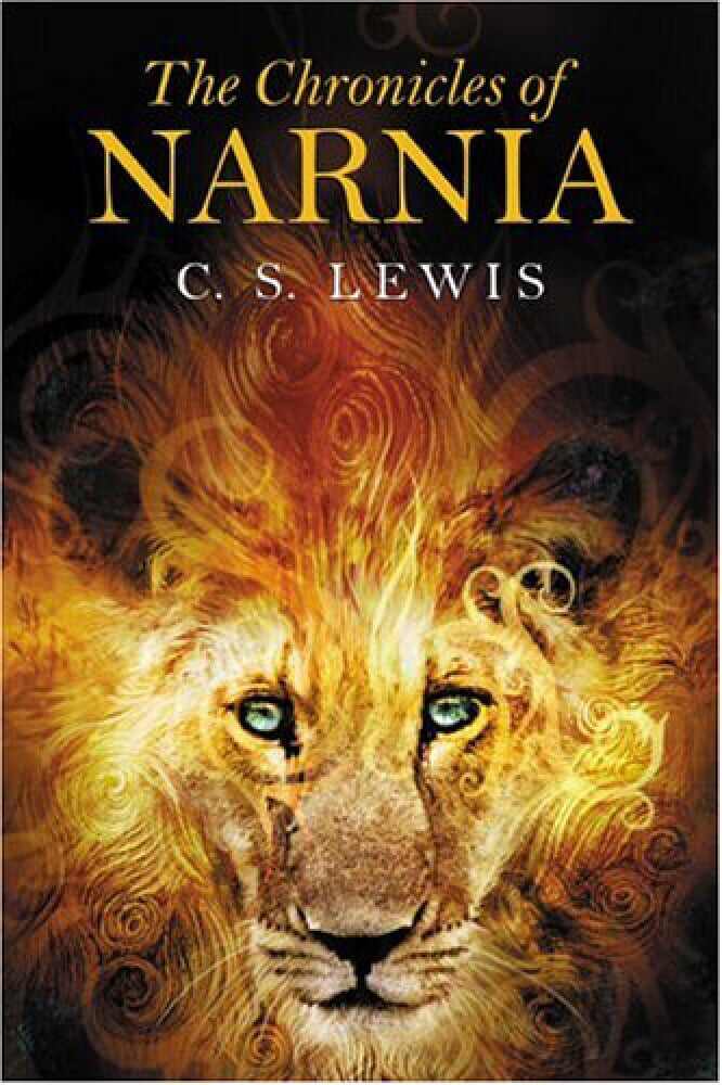 Angel Chum was inspired by reading “The Magician’s Nephew” from “The Chronicles of Narnia”, which coincided with her own journey as her school celebrated its centenary. Photo: Handout