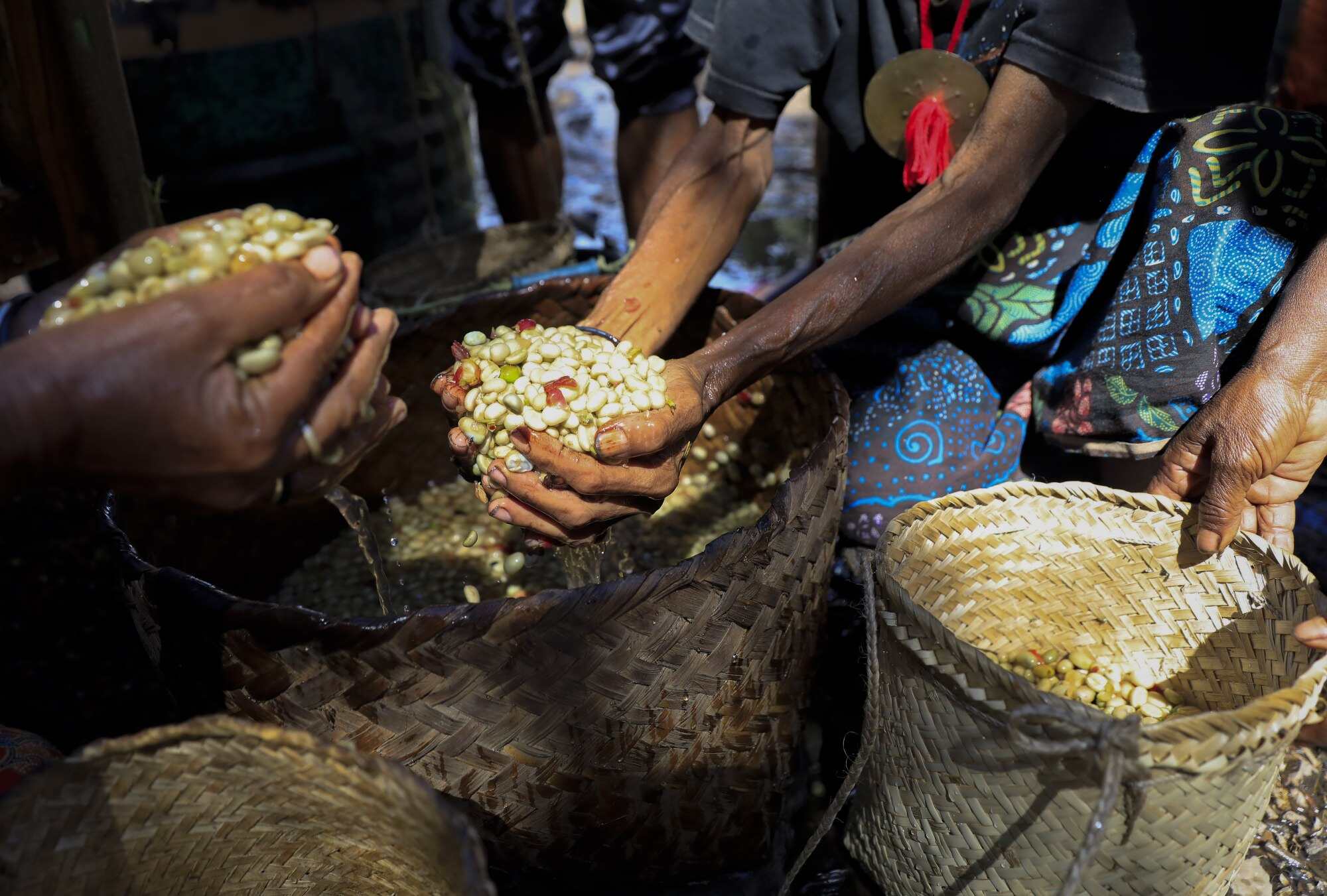 East Timorese villagers process coffee beans in a traditional way during harvest time in Letefoho, East Timor (Timor-Leste). Coffee is one of the country’s largest non-oil exports. Photo: EPA-EFE