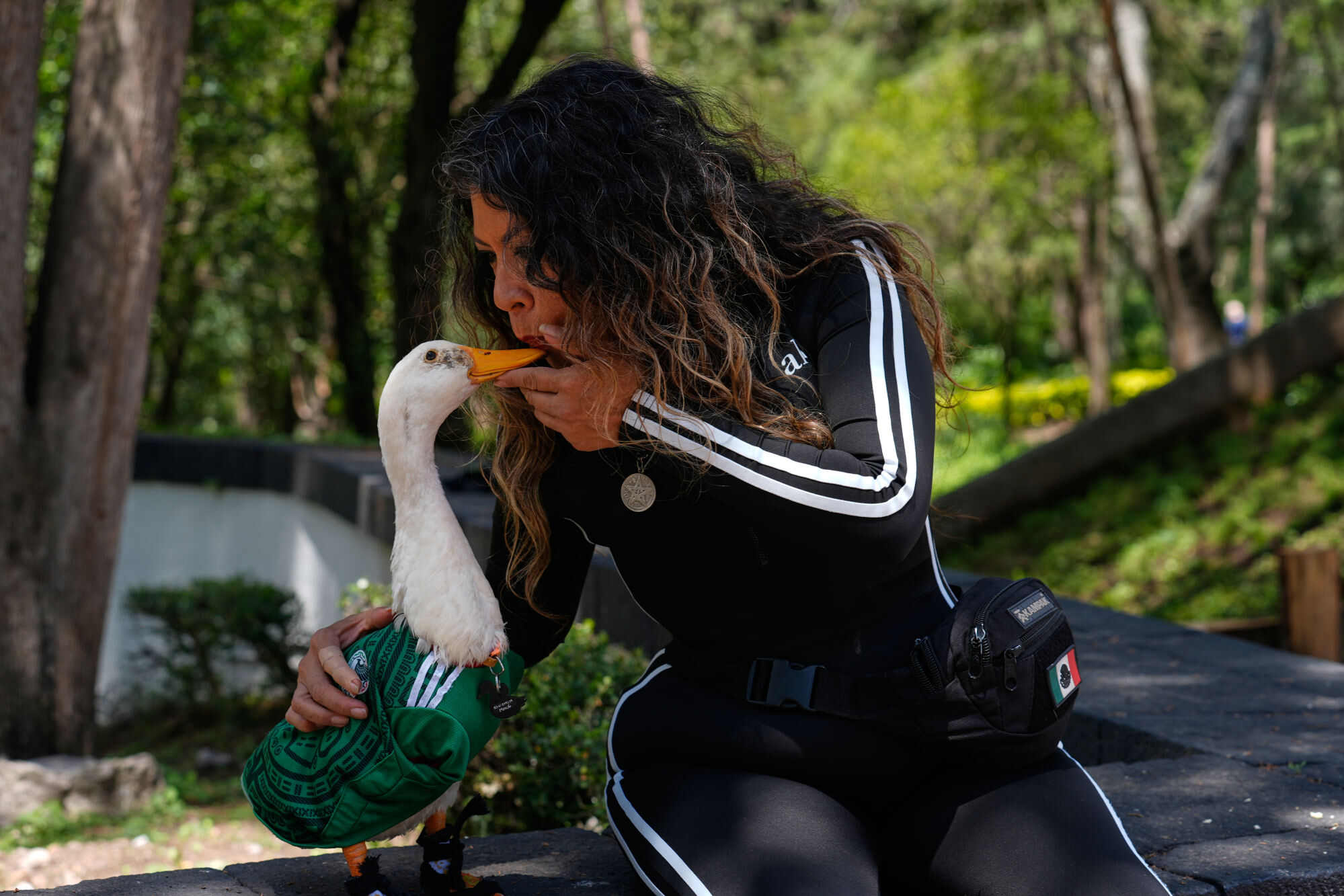 Carla Gomez, Merlin’s owner, said he is part of her family. Photo: AP