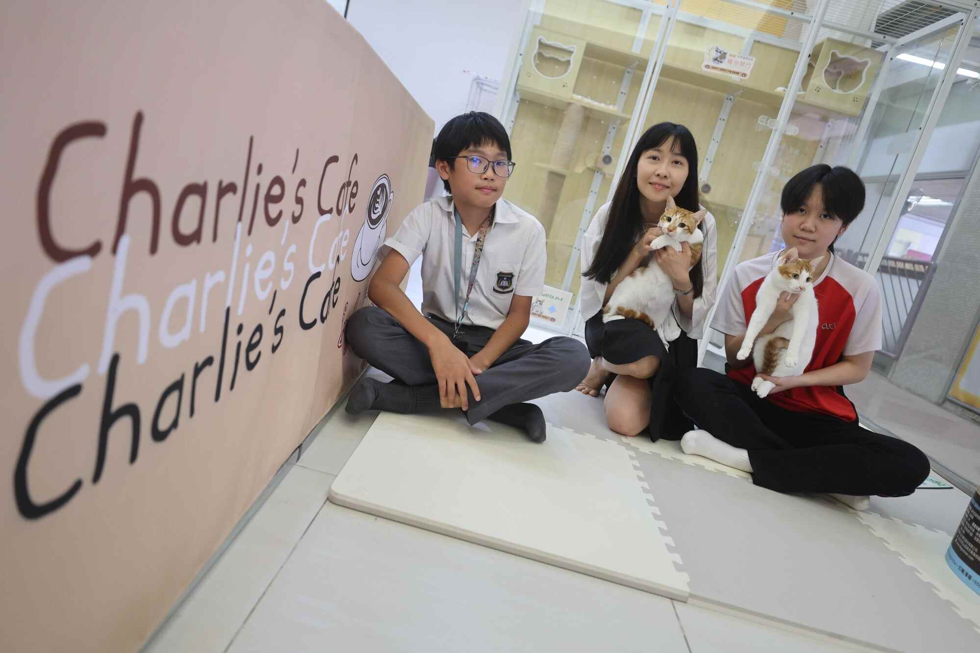 Students Hei Hei Chan (left) and Yanis Tsang (right) are regular visitors to their school’s cat cafe, started by the English panel head for junior forms, Yen Chan. Photo: Edmond So