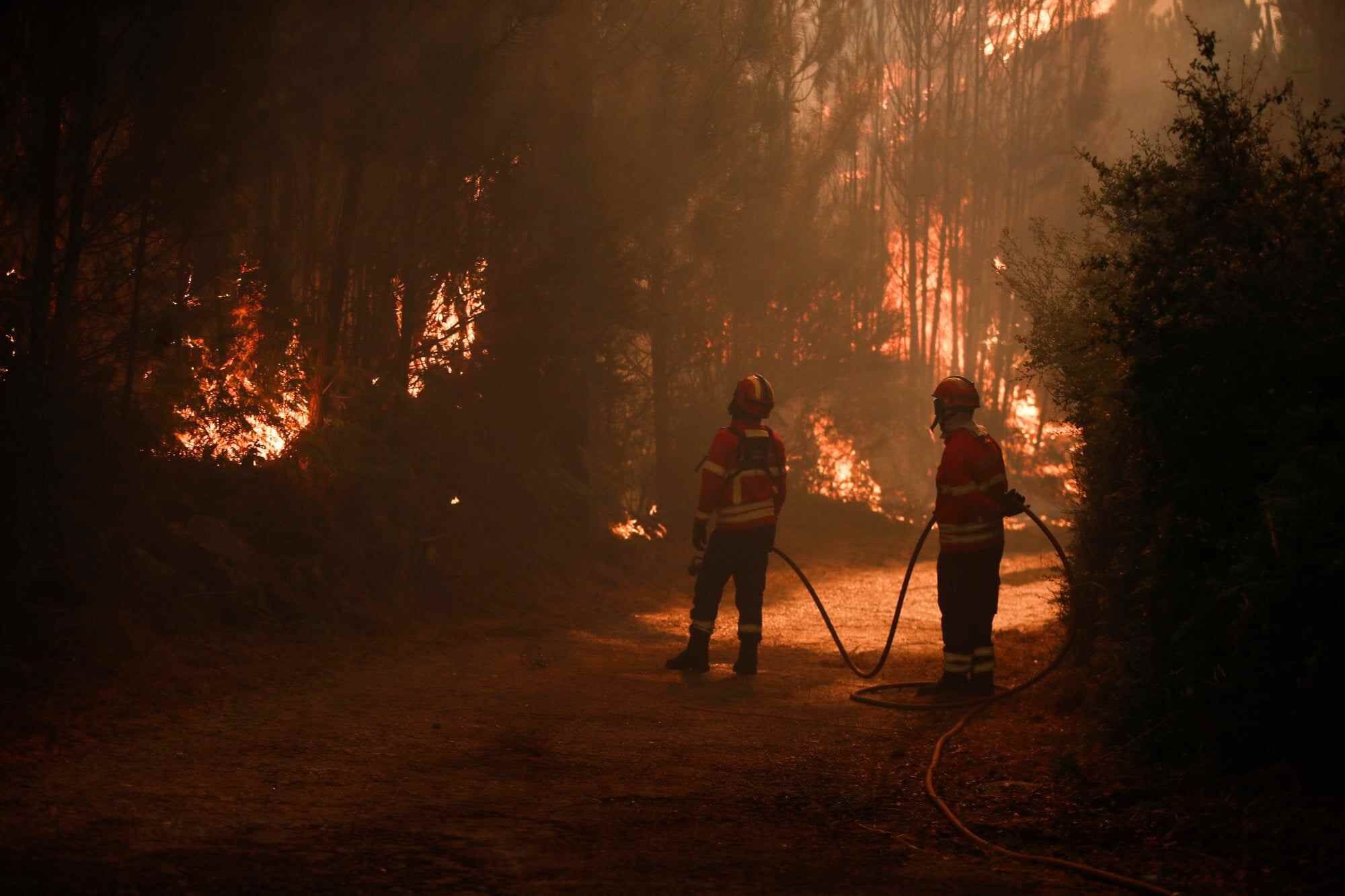 Firefighters battle the Vouzela wildfire in Cercosa, a parish in the municipality of Mortagua, Portugal. Photo: EPA
