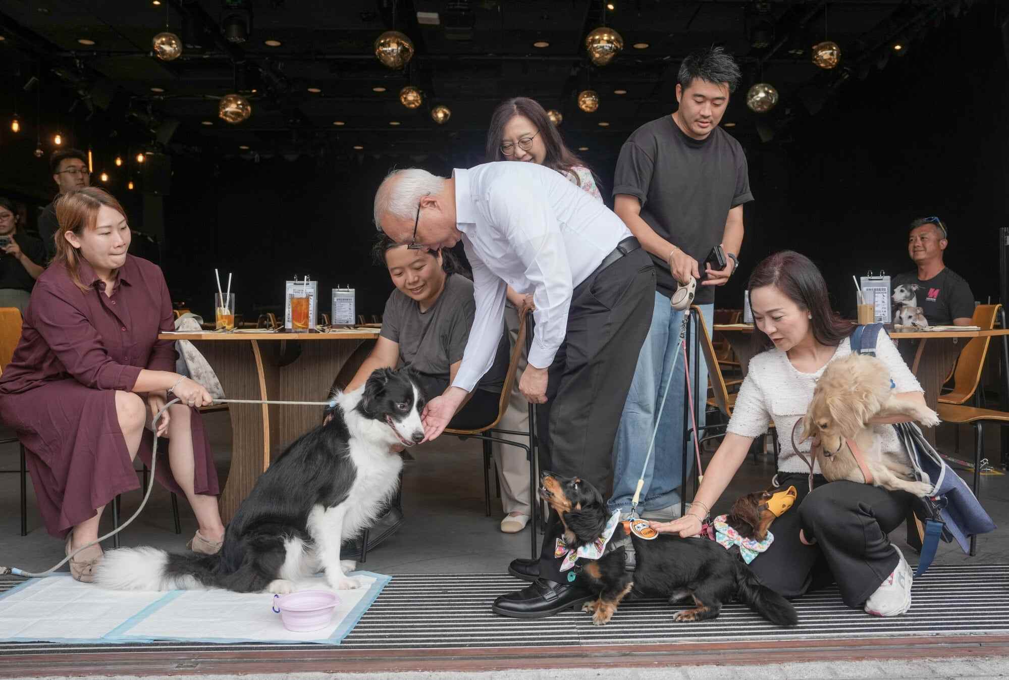 Secretary for Environment and Ecology Tse Chin-wan (centre in white) inspects a restaurant at West Kowloon Cultural District on the first day of a new measure allowing dogs into permitted food premises. Photo: Sam Tsang