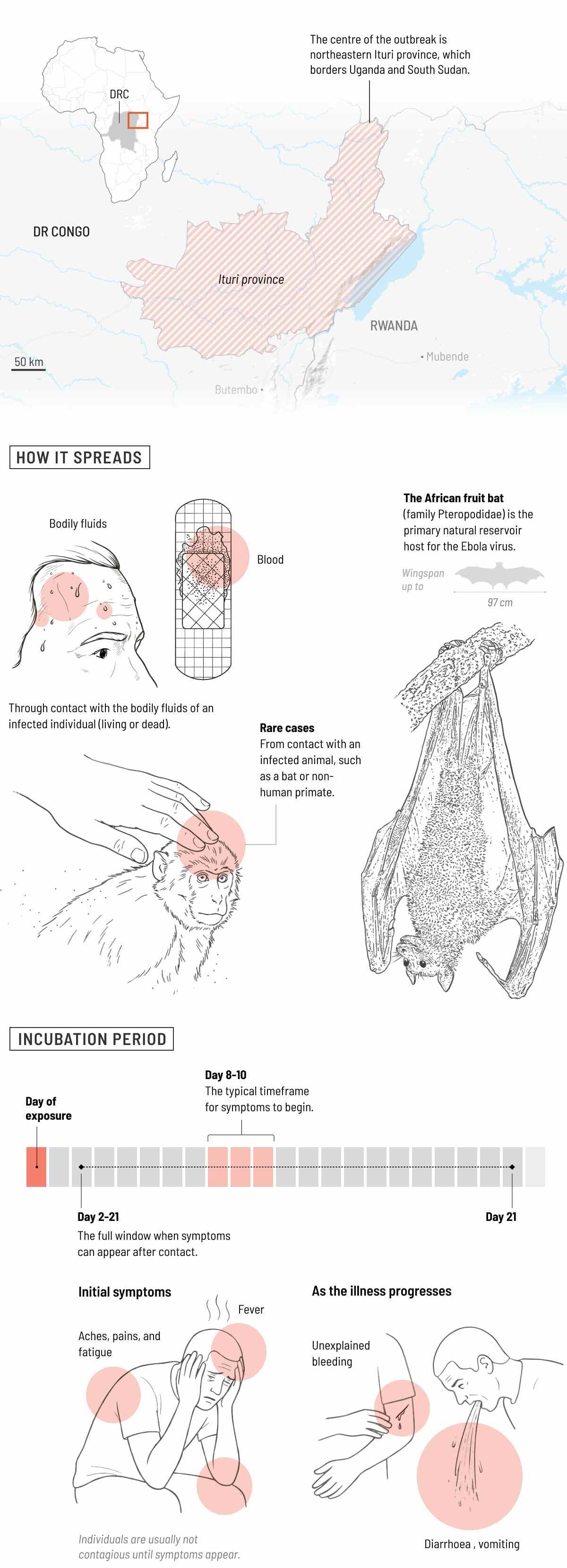 Sources: US Centres for Disease Control and Prevention, WHO. Graphic by Kaliz Lee, Mario Cameira, Rocio Marquez and Andrew London. Photo: SCMP Graphics
