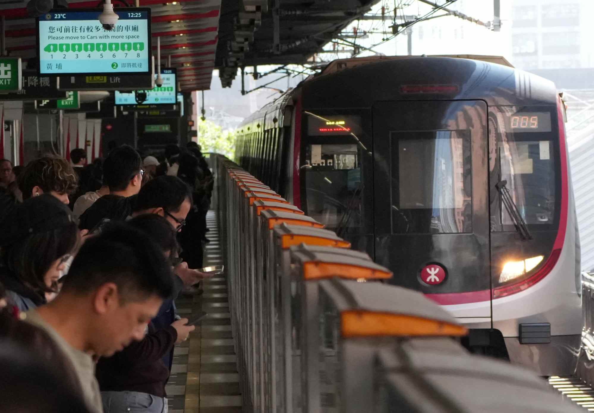 Trains ran at reduced speeds for about an hour before the animal left on its own. Photo: Jelly Tse