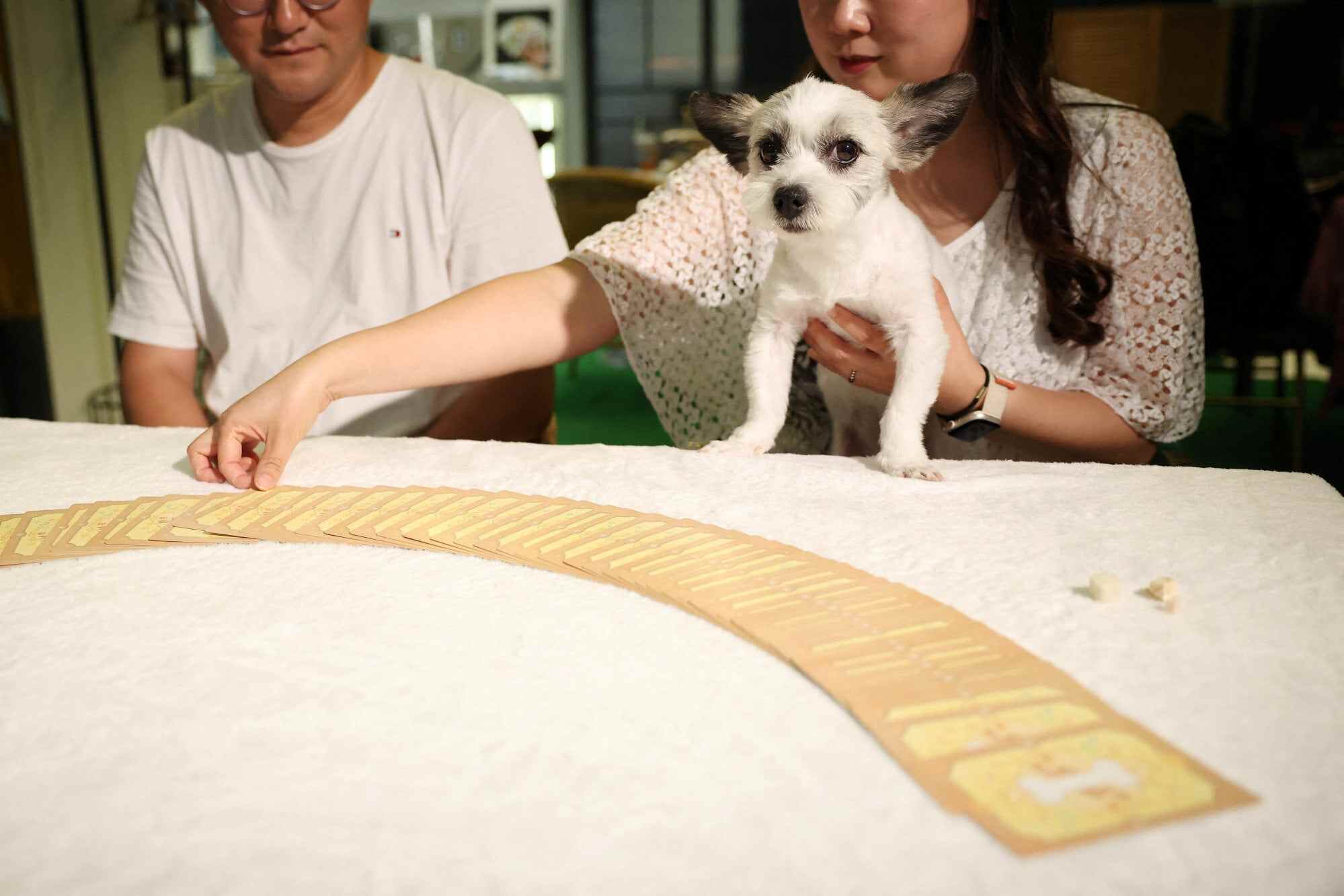Ryu Su-mi and her dog E-seul. More Koreans are raising pets, often considering them part of the family. Photo: Reuters