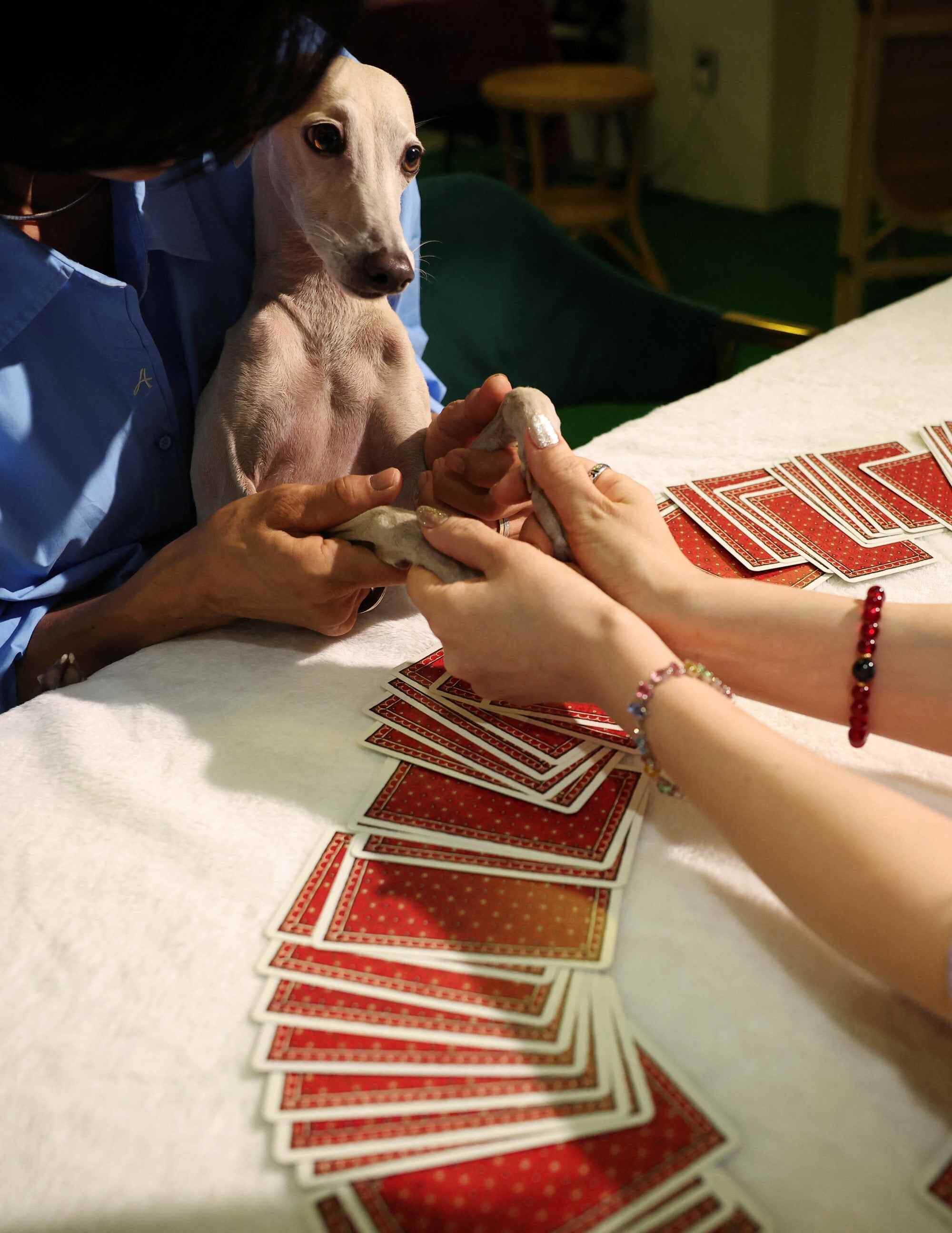 Ahn Hye-joo and her dog Khan at Ace Sophia fortune-telling parlour in Seoul’s Gangnam district. Photo: Reuters