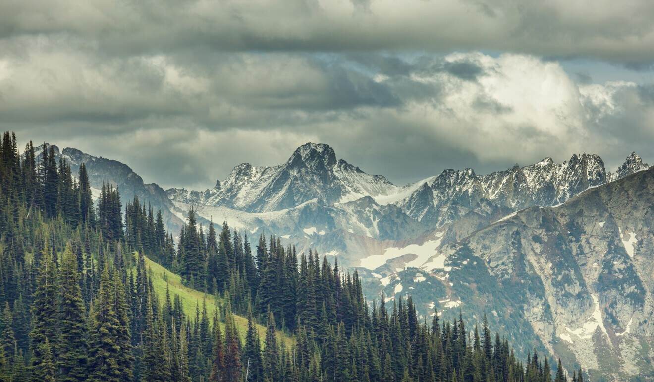 One student spent her gap year exploring the Pacific Northwest in the United States.